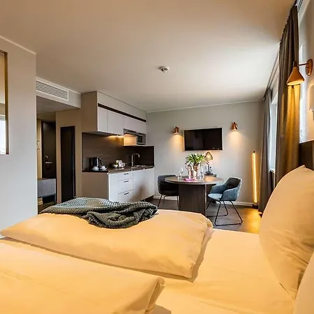 Maseven Muenchen Messe Dornach 4* 阿什海姆